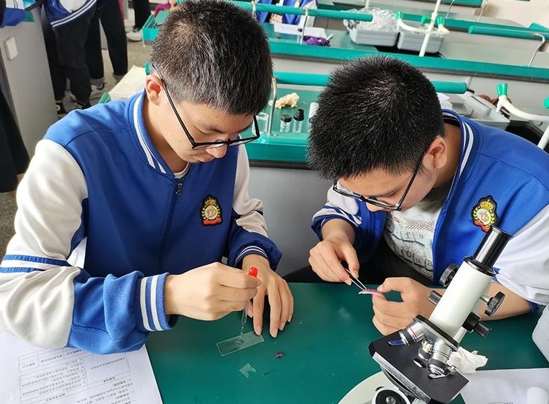 實(shí)訓(xùn)實(shí)習(xí)