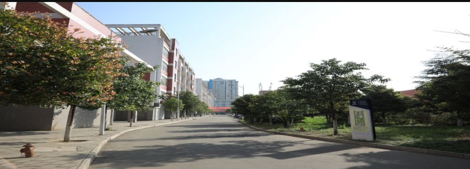 實(shí)訓(xùn)實(shí)習(xí)